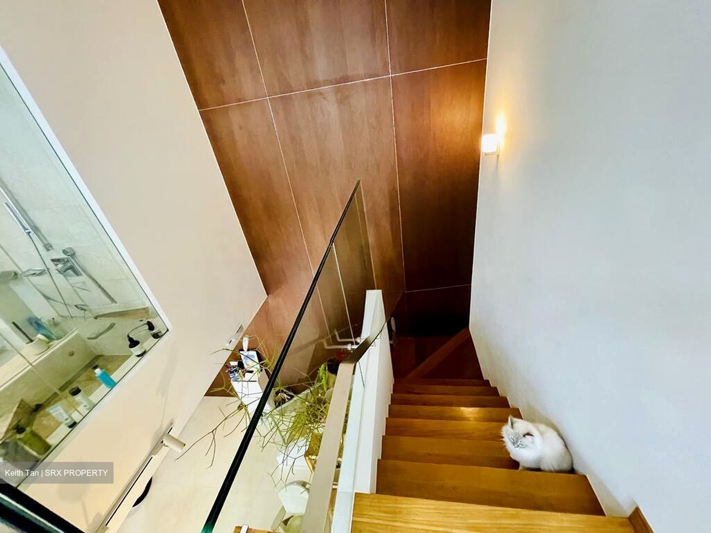 Altez (D2), Apartment #503056221